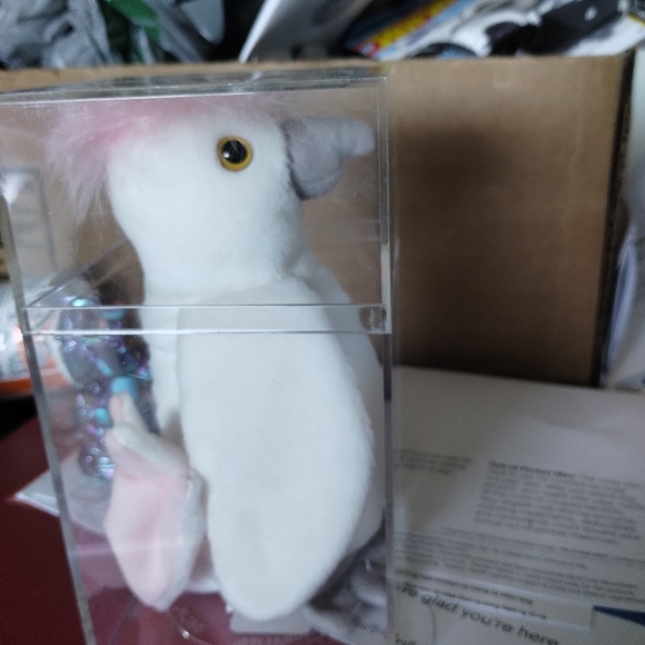 Kuku - Picture 4 of 4